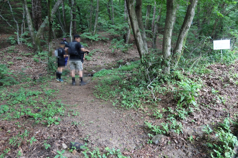 황악산 사진 3