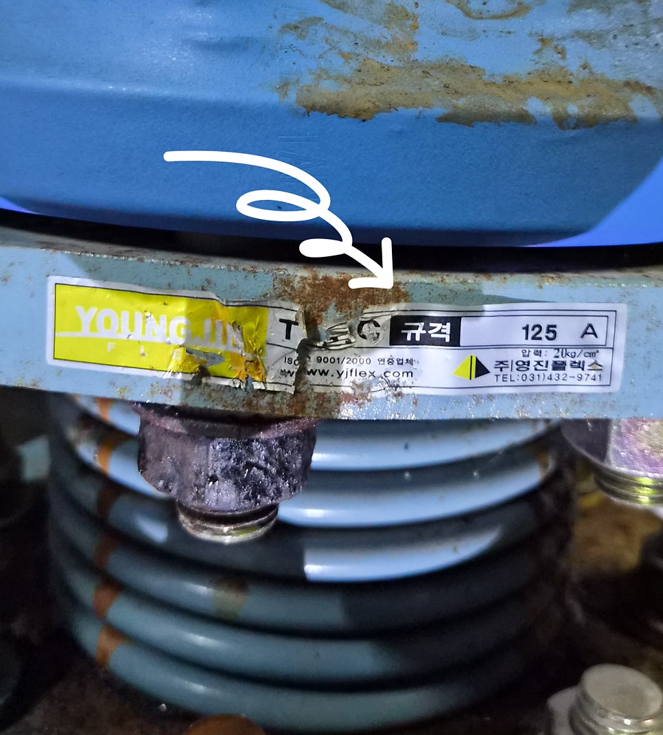 영진 사진 6