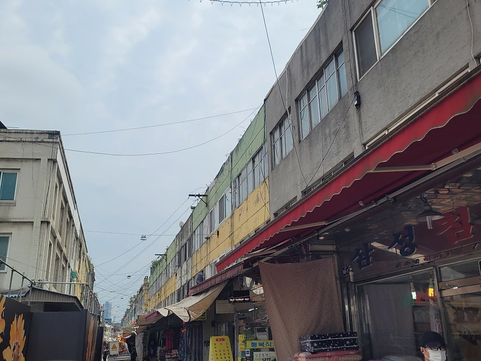 청개구리 사진 4