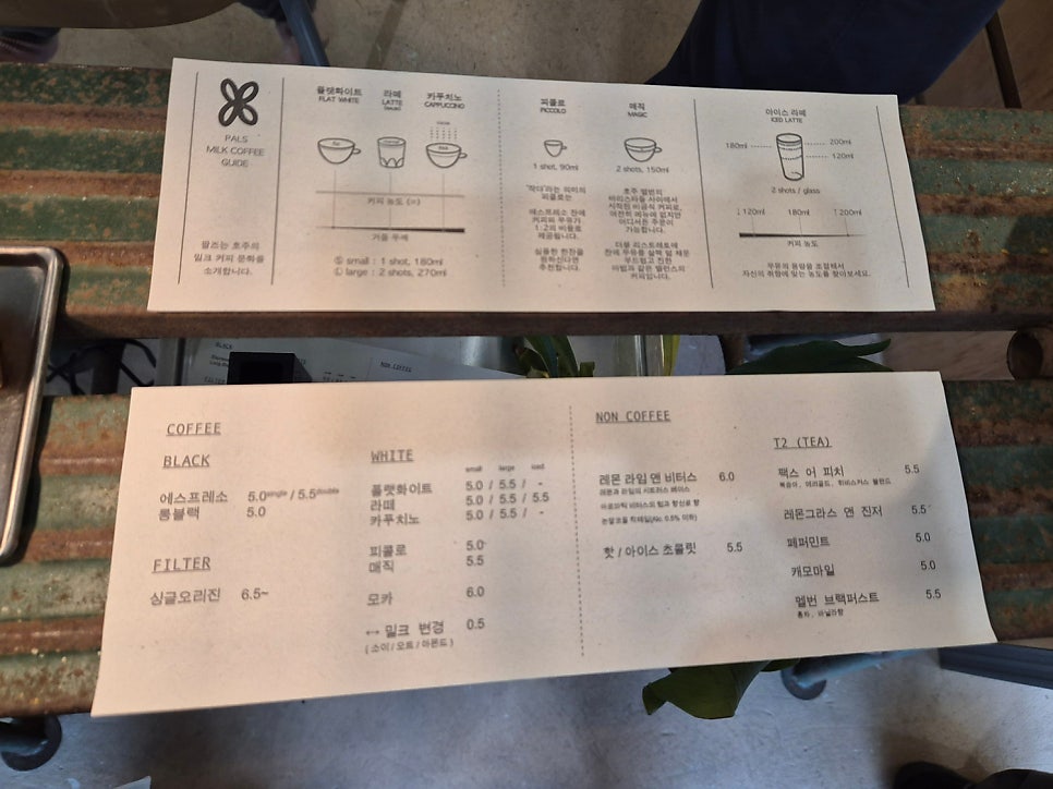 팔즈 사진 2