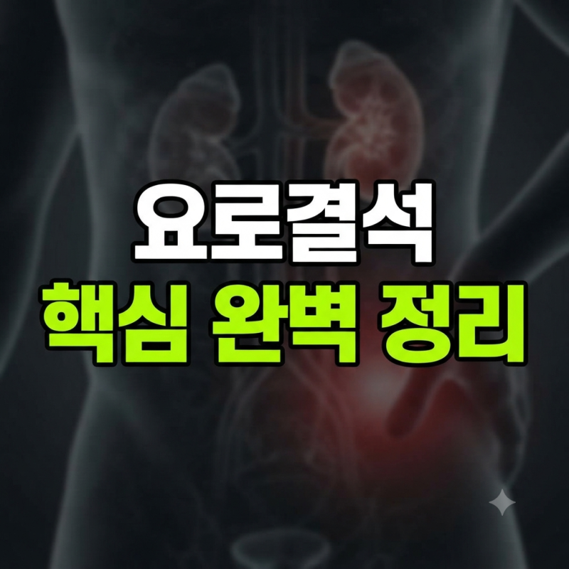 요로결석 통증 위치와 증상부터 예방법까지 완벽 정리