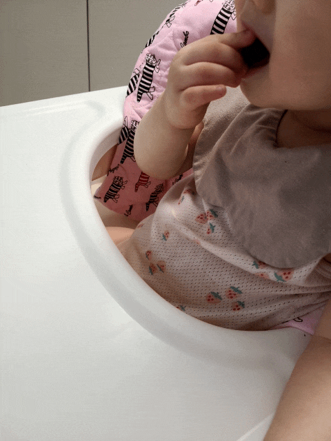 아기 블루베리 언제부터 몇 개 줄까 (공식기관 가이드라인)