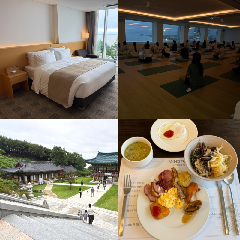 강원도 웰니스 여행 호캉스 포타라카 낙산비치 조식 요가