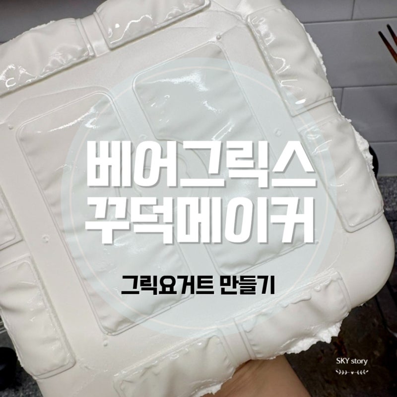베어그릭스 꾸덕메이커 2.4L 그릭 요거트 메이커 유청분리기 만들기 3개월 사용후기