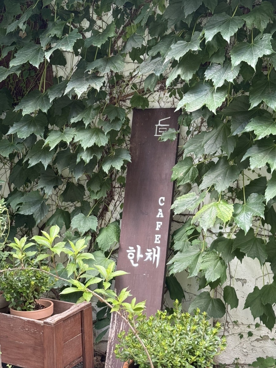 한채 사진 6