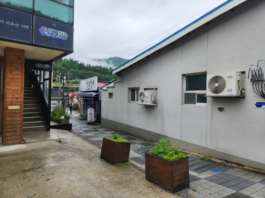 하이원실비식당 사진 2