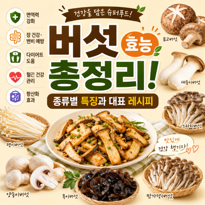 장 건강·변비 예방, 면연력에 좋은 버섯효능과 특징, 버섯대표레시피표고,새송이,느타리, ....