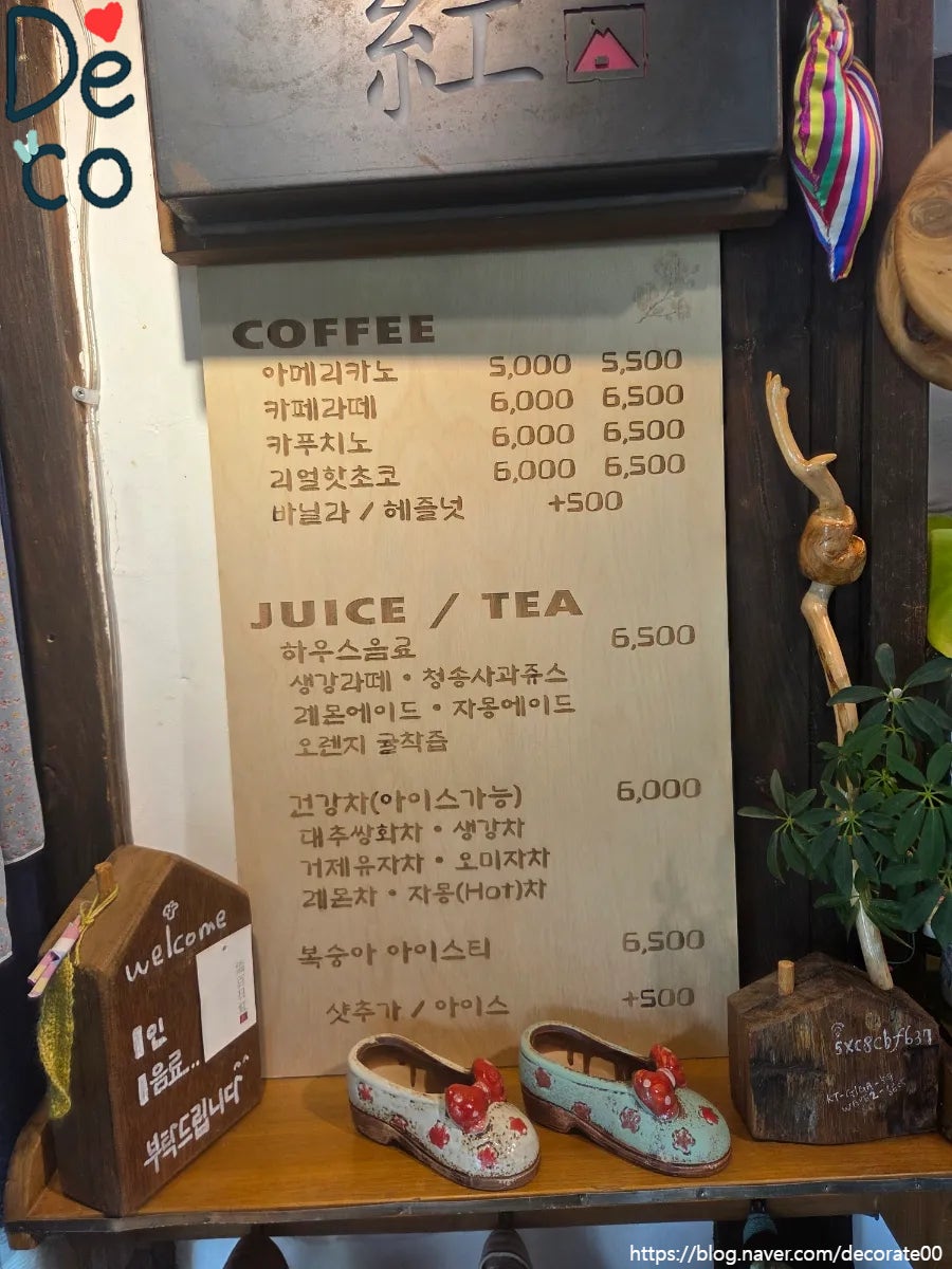 백일홍 사진 6