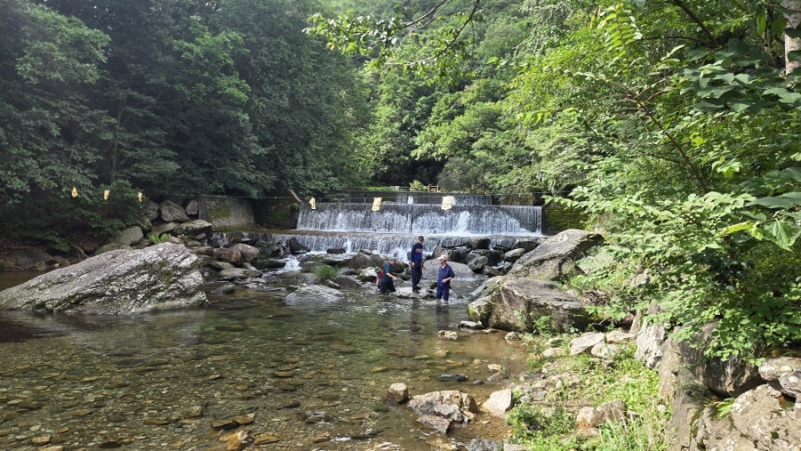 유명산 사진 4