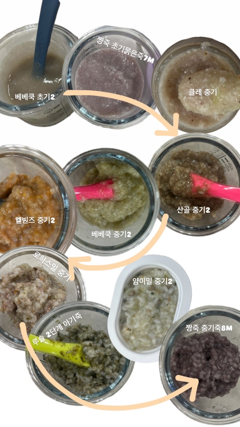 시판이유식 9개업체 체험팩 정보 총정리 가족ID중복신청, 메뉴/배송일 지정 가능여부, 입자감....
