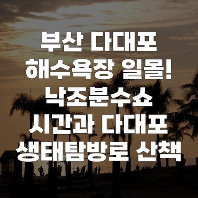 부산 다대포 해수욕장 일몰! 낙조분수쇼 시간과 다대포 생태탐방로 산책