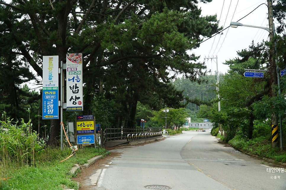천리포수목원 에코힐링센터 사진 1