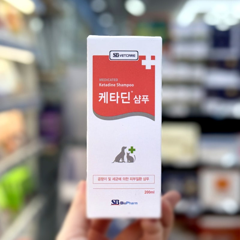 케타딘 샴푸 효과 강아지 고양이 약용샴푸 알아보기