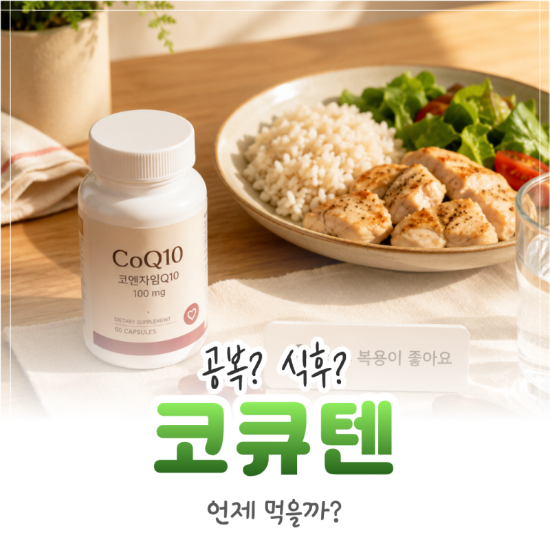 코엔자임Q10 복용시간, 공복 vs 식후 언제 먹어야 할까?
