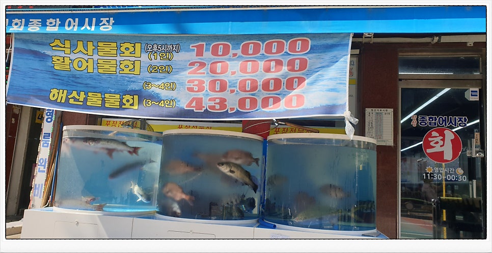싱싱회종합어시장 사진 3