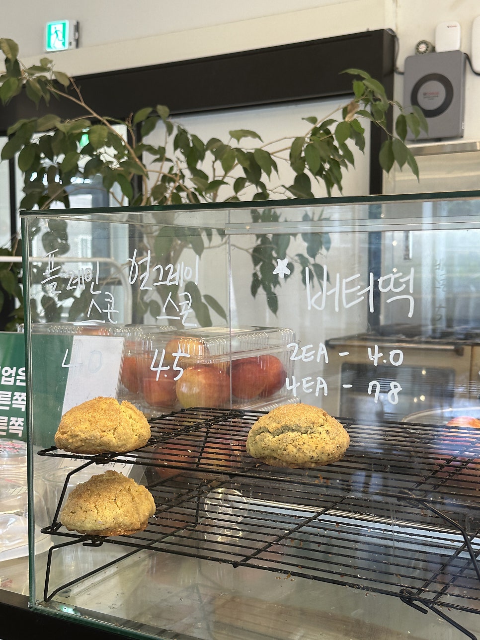 카페스태리 사진 3