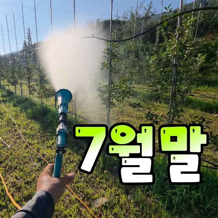 274편) 7월말 사과밭방제 폭염주의보에 장마실종 얼음골 밀양농협 남명지점 방제력 사과밭약....