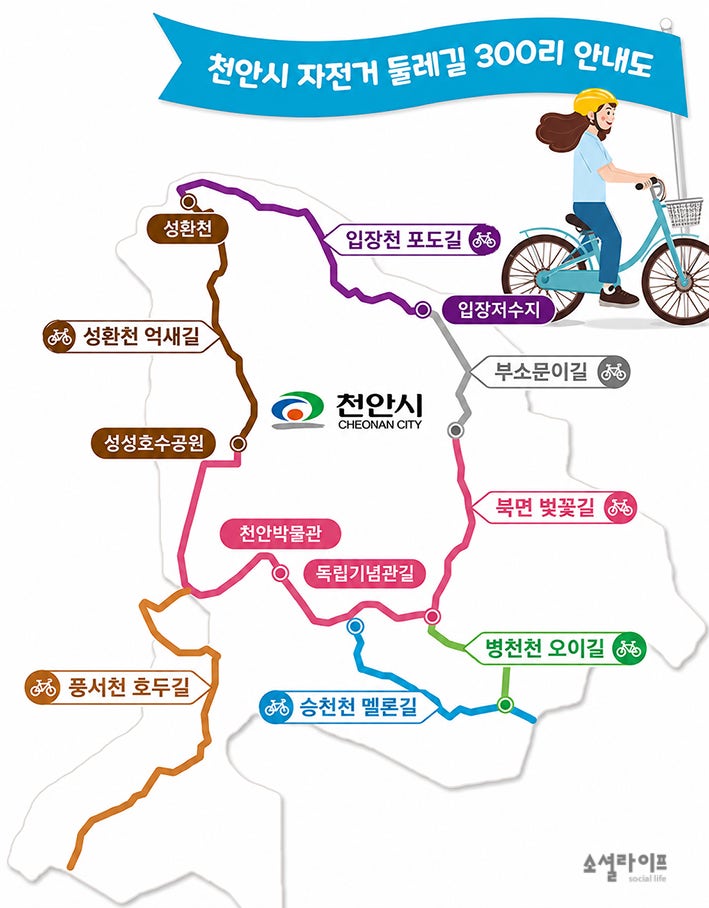 선 사진 2