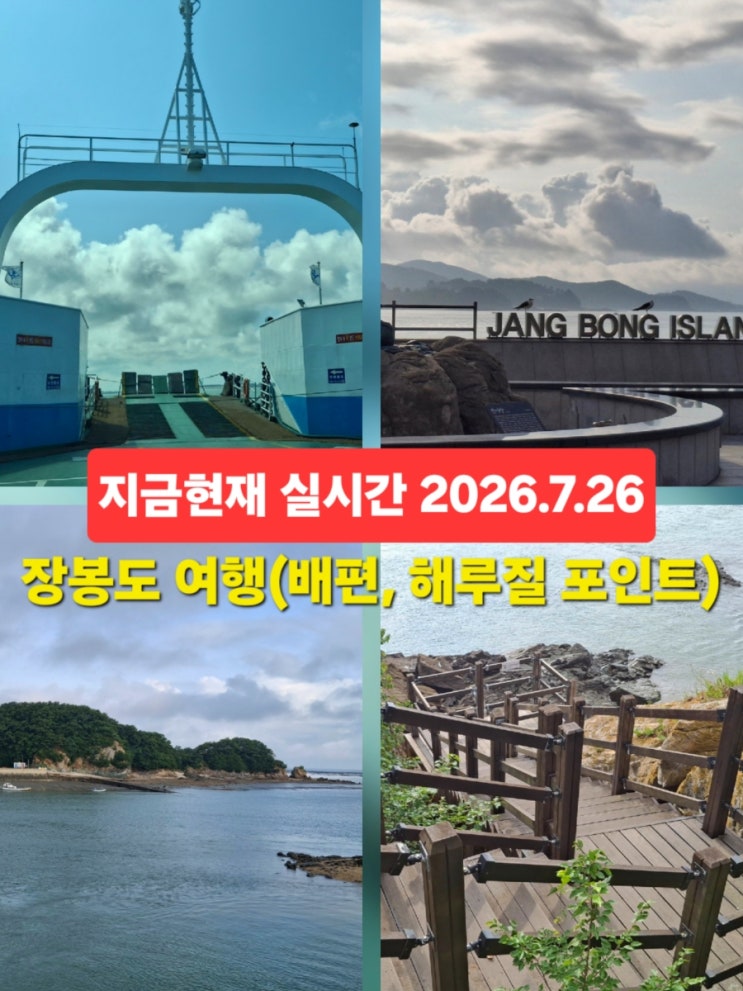 인천 장봉도 여행 배편 <b>해루질</b> 포인트 잡히는 어종