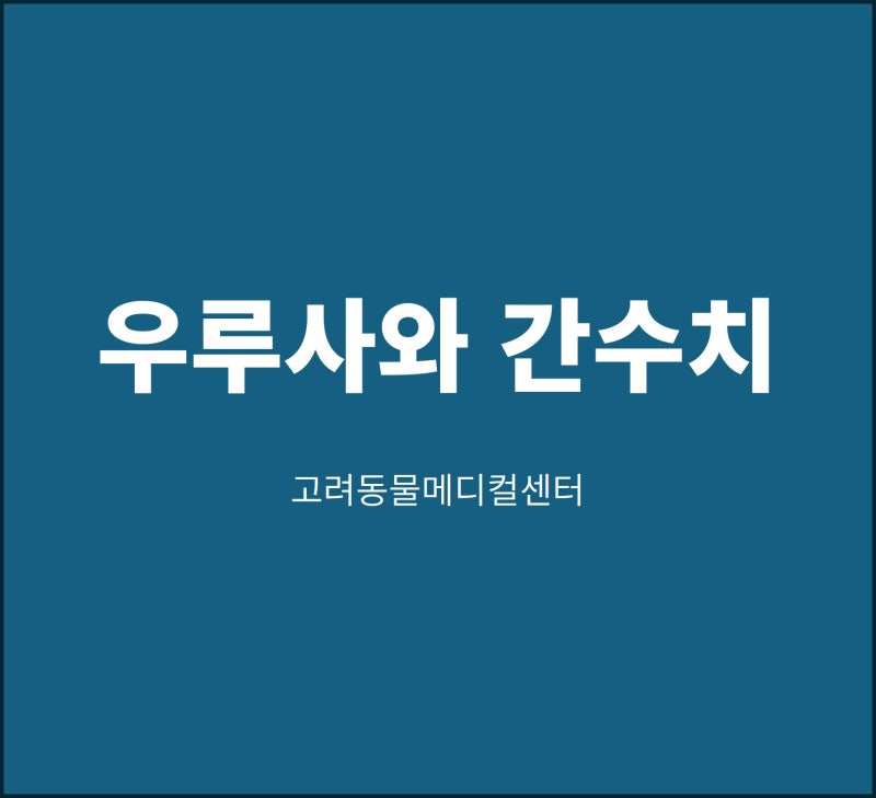 (간담췌센터 연재 13편) 우루사를 먹으면 간수치가 떨어지나 (박)