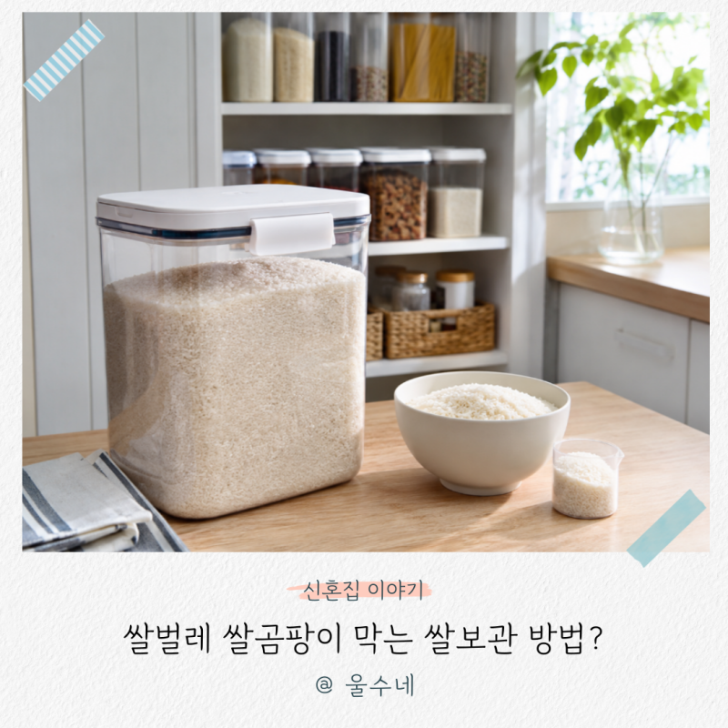 쌀벌레 쌀곰팡이 막는 쌀보관 방법? 쌀통 관리부터 확실하게!