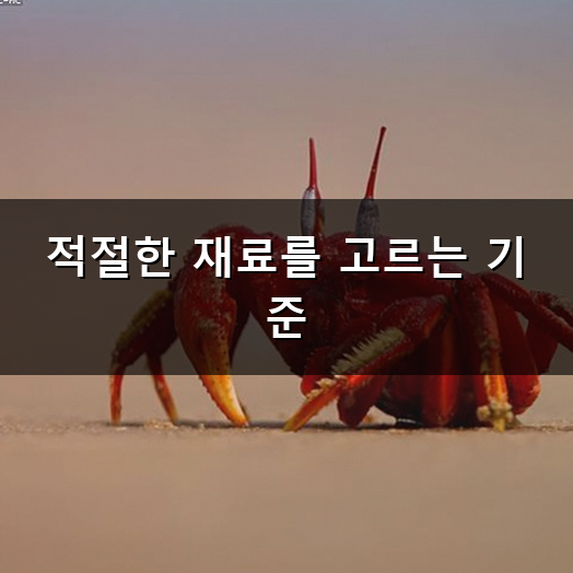 길고양이 겨울집 만들기 방법과 따뜻한 겨울을 선물하는 요령