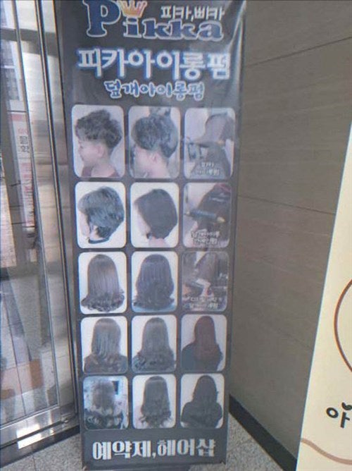 하루 사진 5