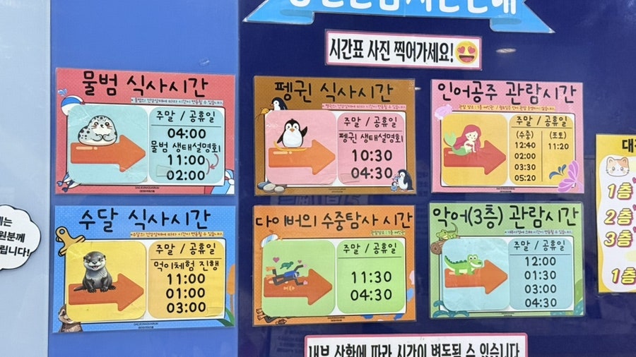 대전아쿠아리움 사진 6