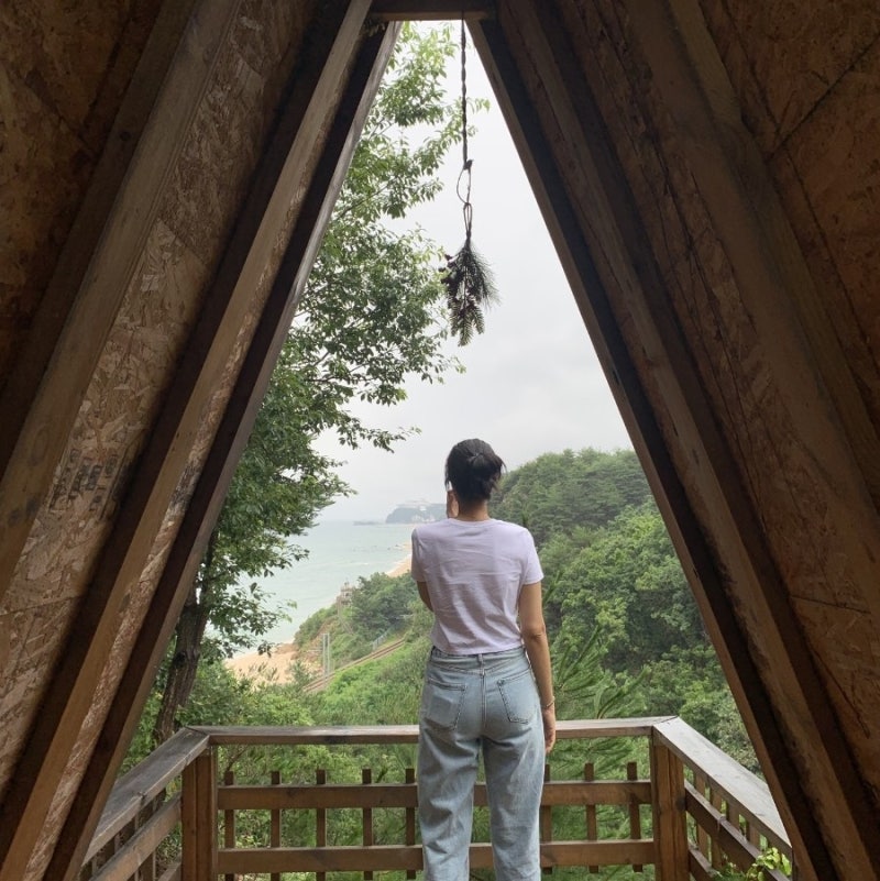 스테이인터뷰 강릉 놀거리 하슬라미술관 근처 오션뷰 애견동반 카페