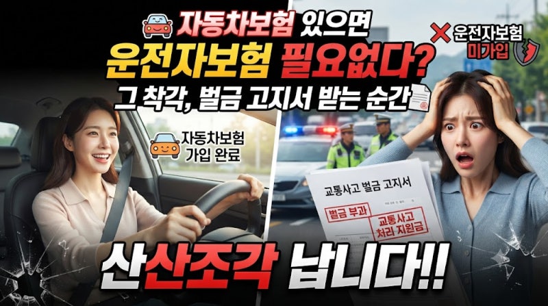 자동차보험 있으면 운전자보험은 필요없다? 그 착각, 벌금 고지서 받는 순간 산산조각 납니....