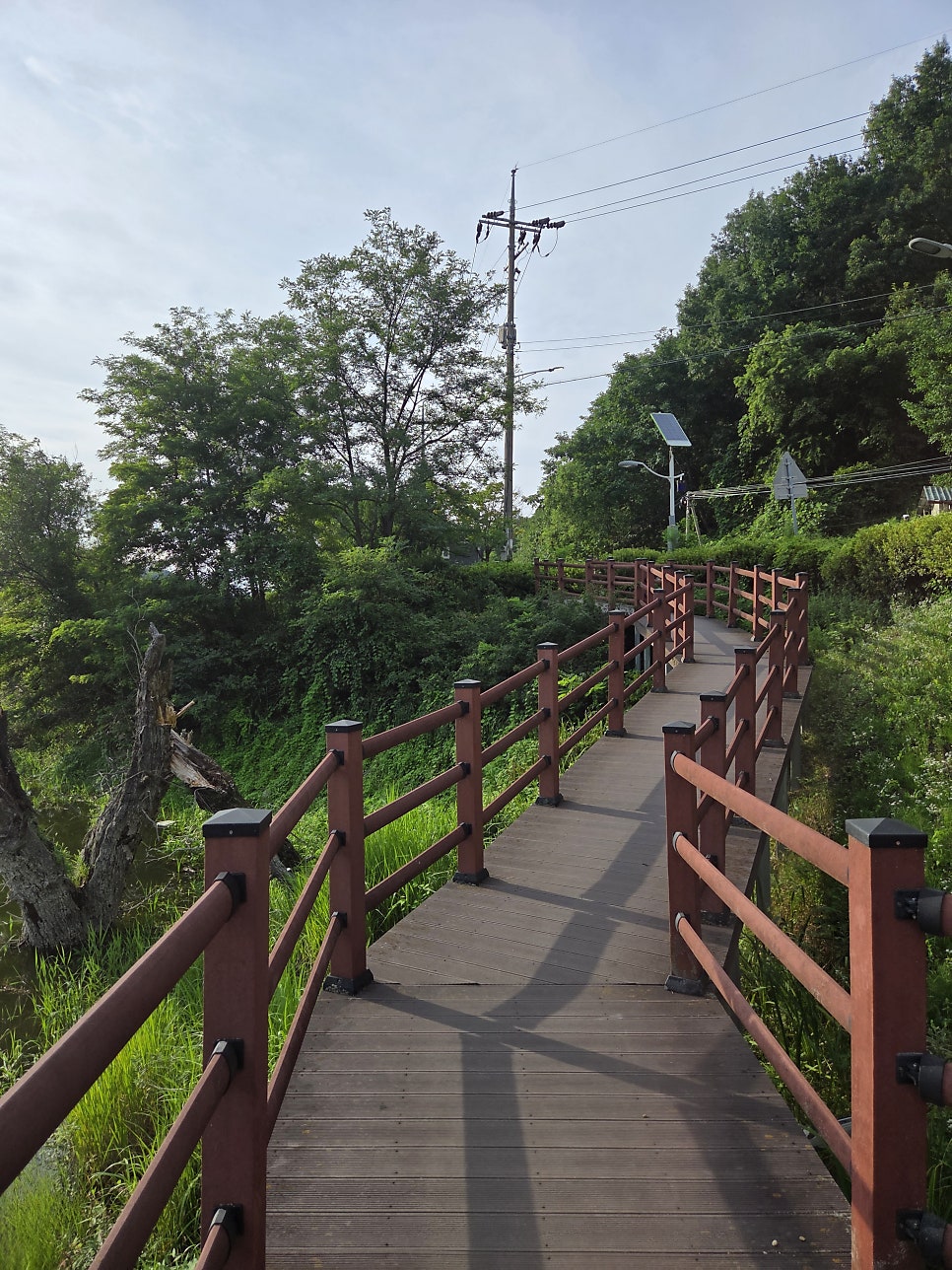 좌구산 사진 6