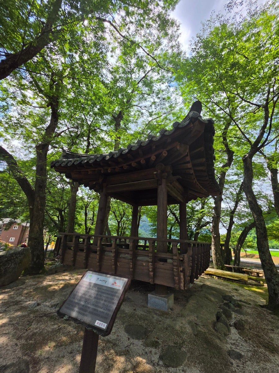 소백산 사진 5