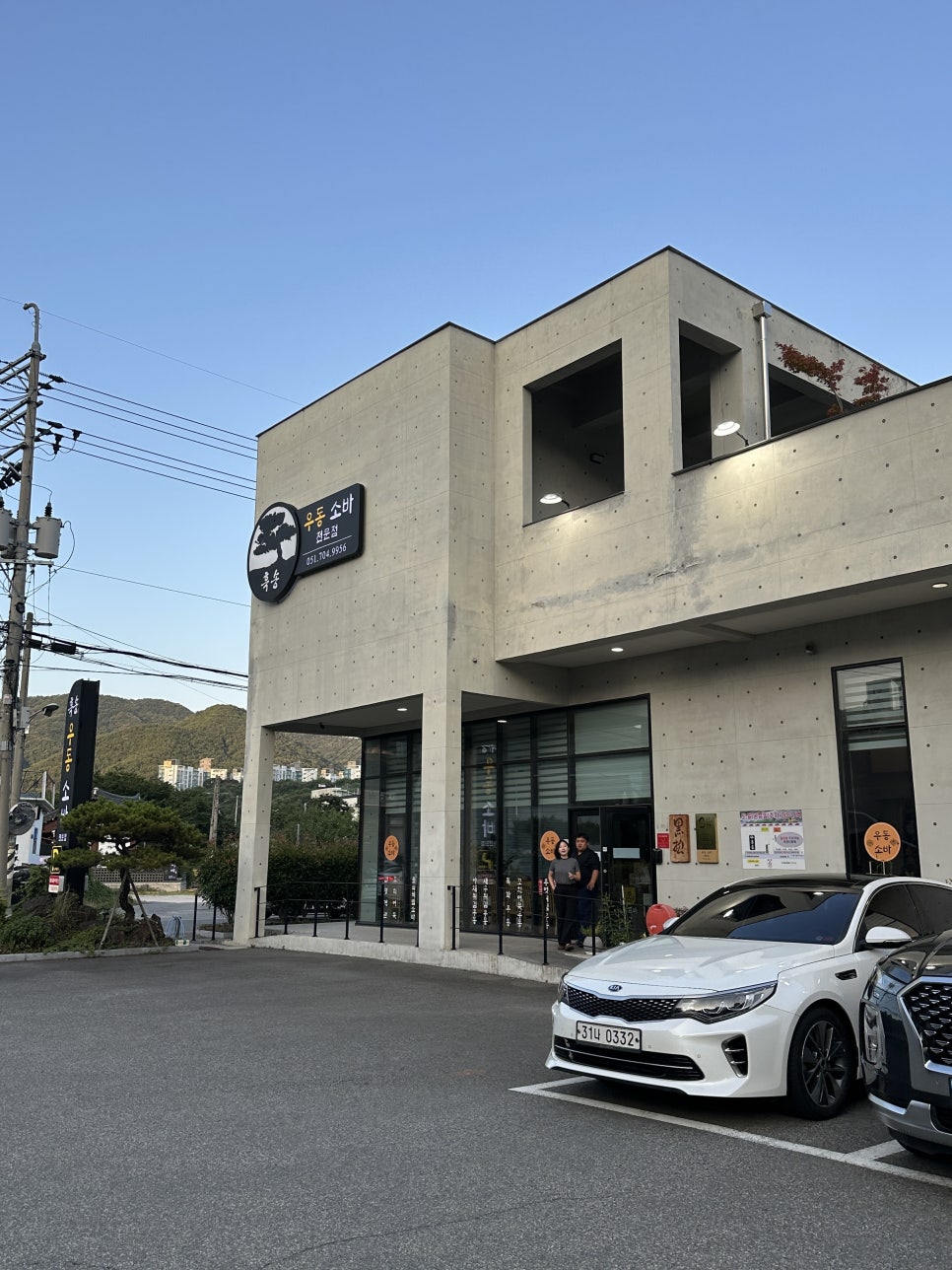 흑송 사진 1