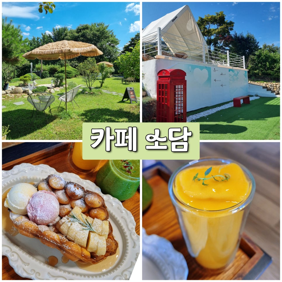 소담 사진 1
