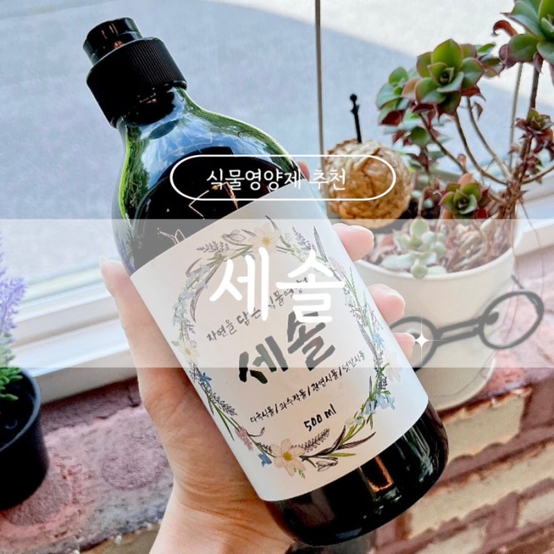 [식물영양제 추천] 탄소발효 식물 영양제 • 다육이 영양제 • 관엽식물영양제 추천 :세솔 식....