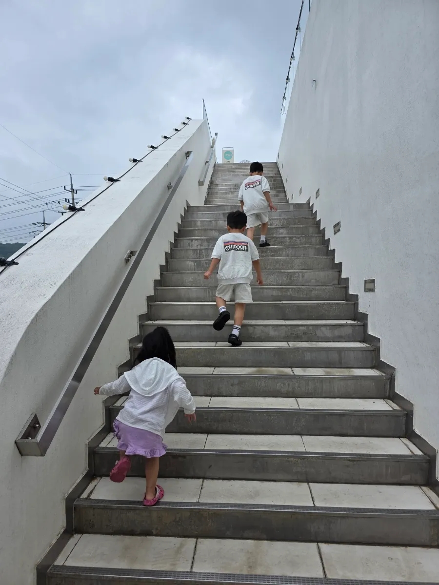 카포레 사진 2