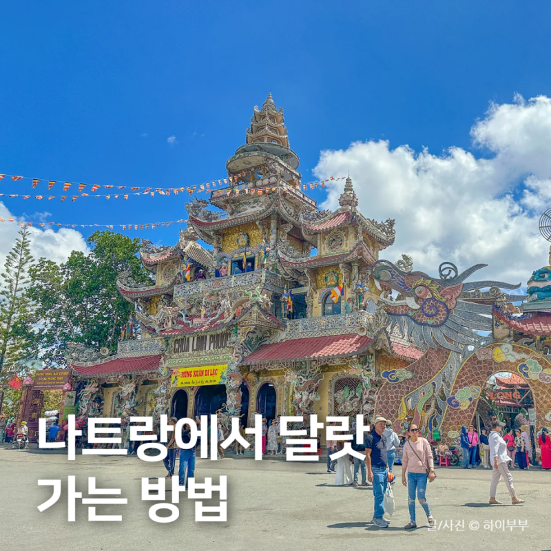 베트남 나트랑에서 달랏 가는 방법, 달랏 여행 가볼만한곳 추천