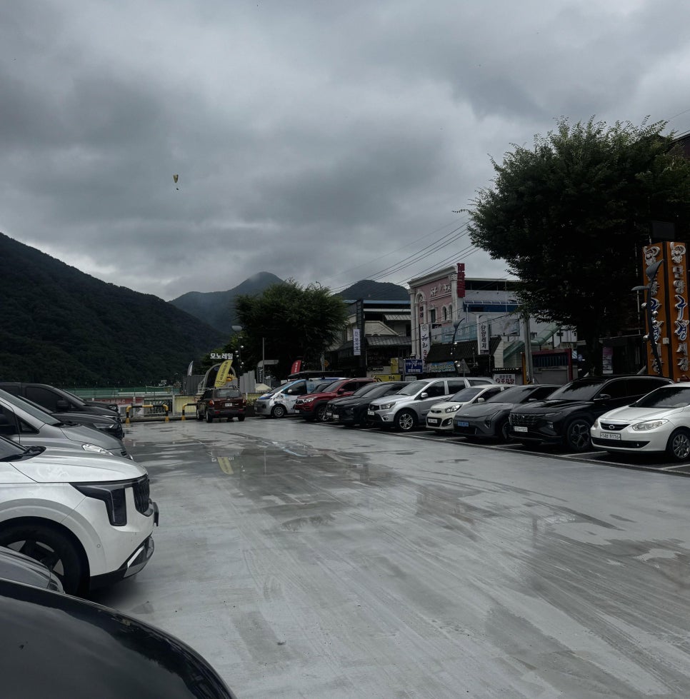 백향담 사진 2