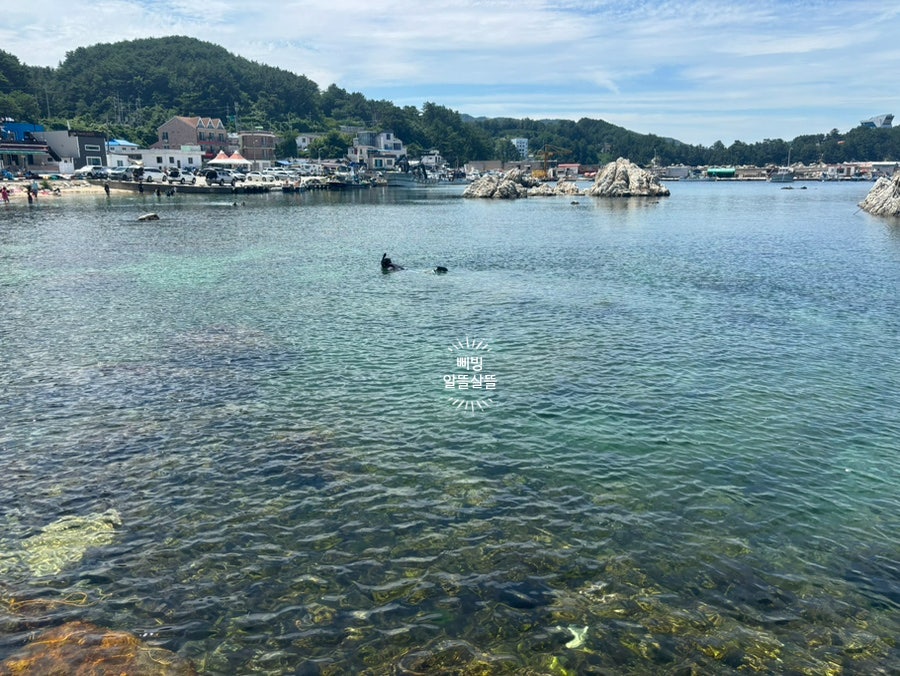삼송갈비 사진 1