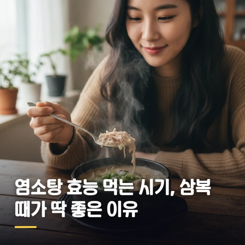 염소탕 효능 먹는 시기, 삼복 때가 딱 좋은 이유