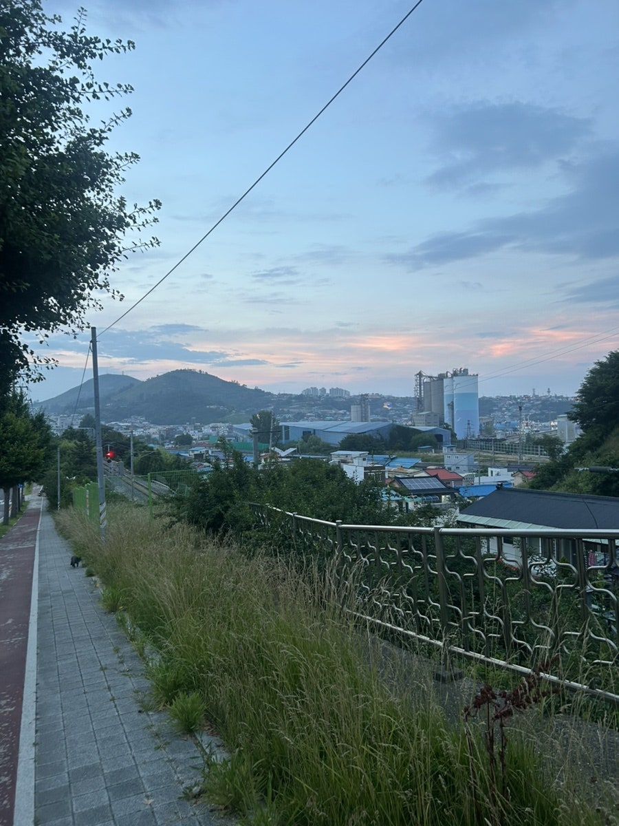 이음 사진 3
