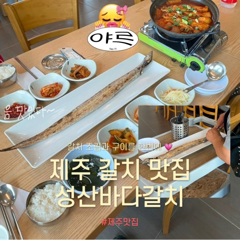제주 성산 맛집 성산바다갈치 순살갈치조림 아쿠아플라넷 근처 식당 솔직후기