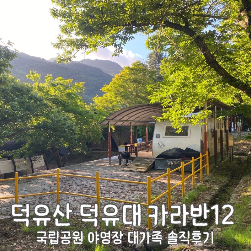 국립공원공단야영장 덕유산 덕유대3 카라반12번(8인) 상세 후기
