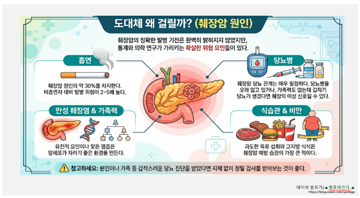 생존율 단 15%? 내 몸이 보내는 췌장암 초기증상 5가지와 항암 신약의 진실