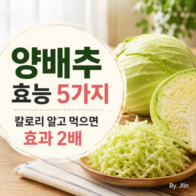 양배추효능 5가지, 칼로리 알고 먹으면 효과 2배
