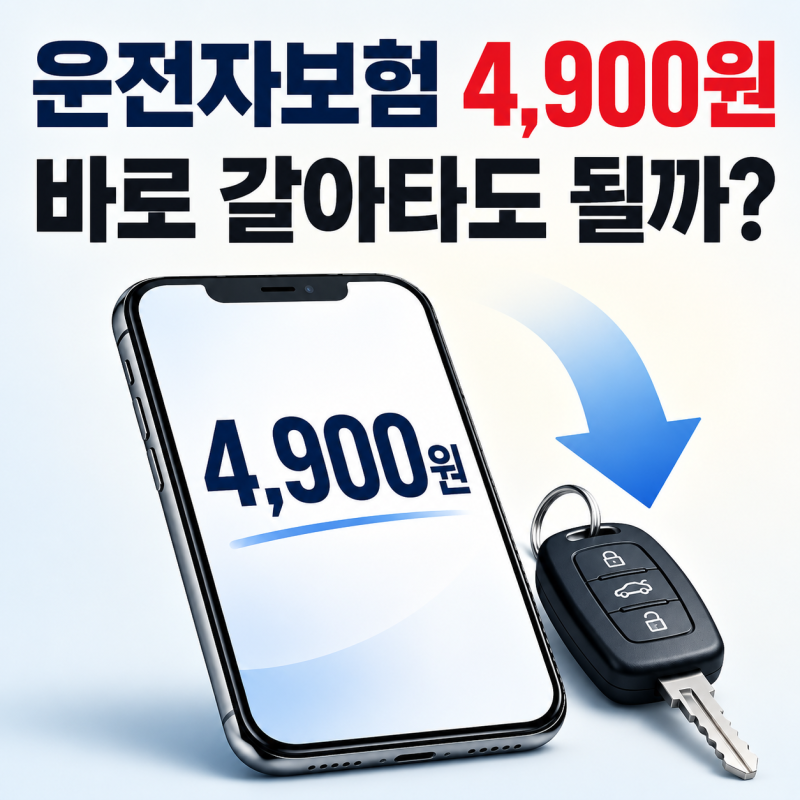 7월부터 800원 내렸다, "모니모 운전자보험" 진짜 이득일까