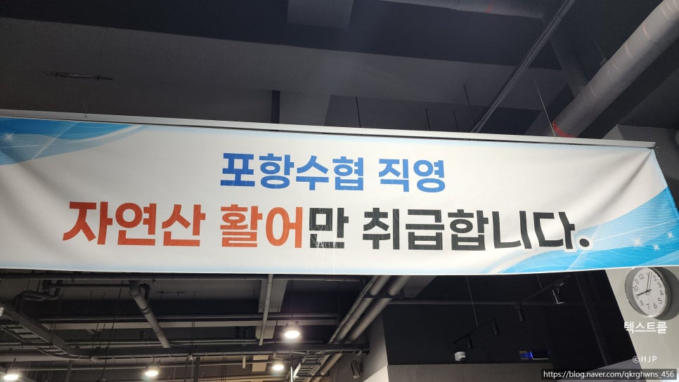 포항수협 송도활어회센터 사진 3