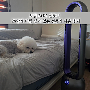 보랄 BLDC모터로 날개없는 저소음 선풍기 사용 후기