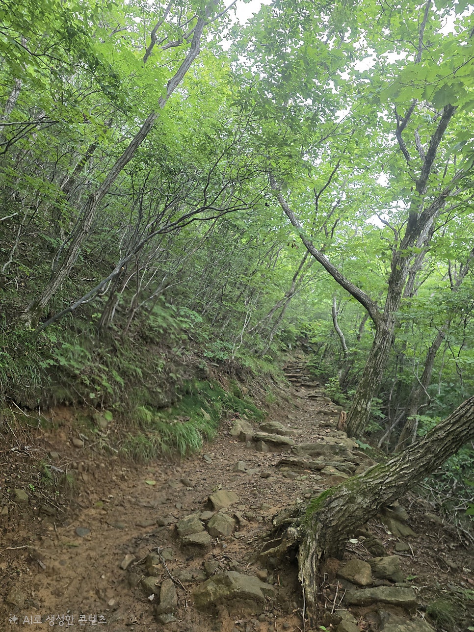 황악산 사진 6