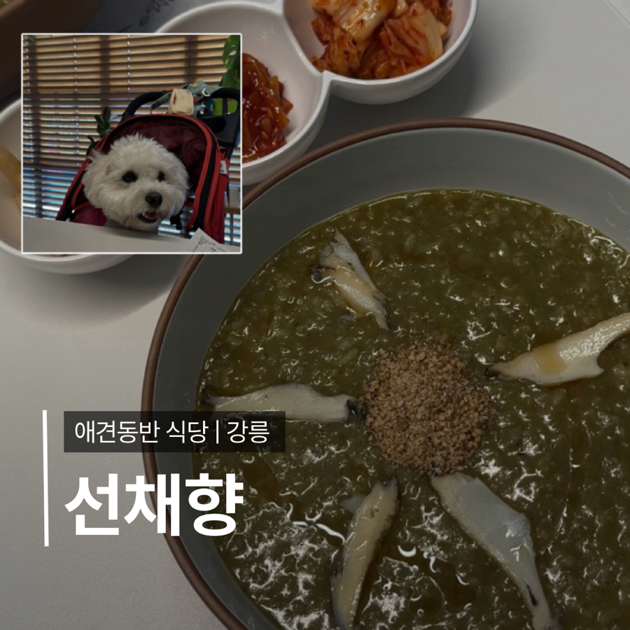 선채향 사진 1